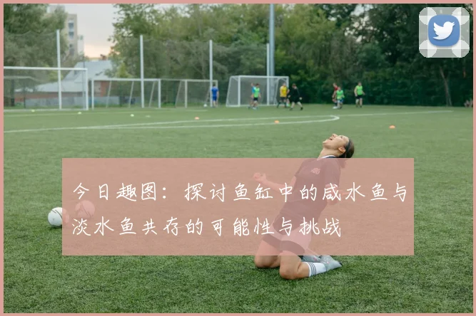 今日趣图：探讨鱼缸中的咸水鱼与淡水鱼共存的可能性与挑战