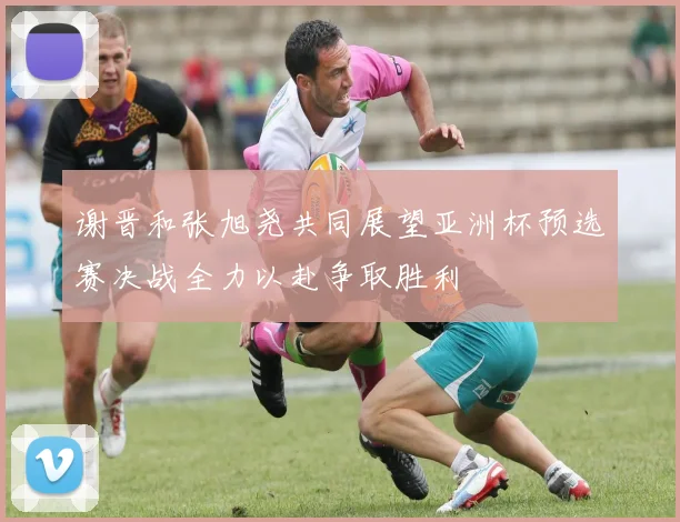 谢晋和张旭尧共同展望亚洲杯预选赛决战全力以赴争取胜利