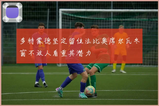 多特蒙德坚定留住法比奥席尔瓦冬窗不放人看重其潜力