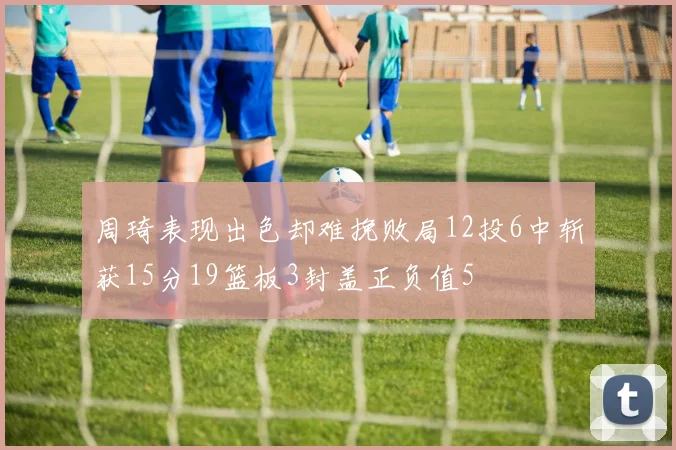 周琦表现出色却难挽败局12投6中斩获15分19篮板3封盖正负值5